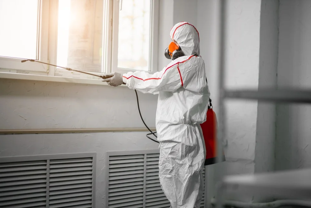 Professional mold remediation services in Summerdale, AL